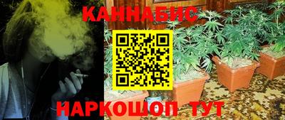 ешки Партизанск