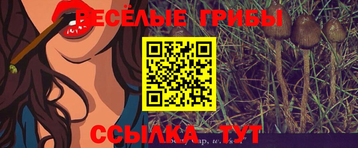 Псилоцибиновые грибы мухоморы  наркотики  Полевской  Вход с VPN 